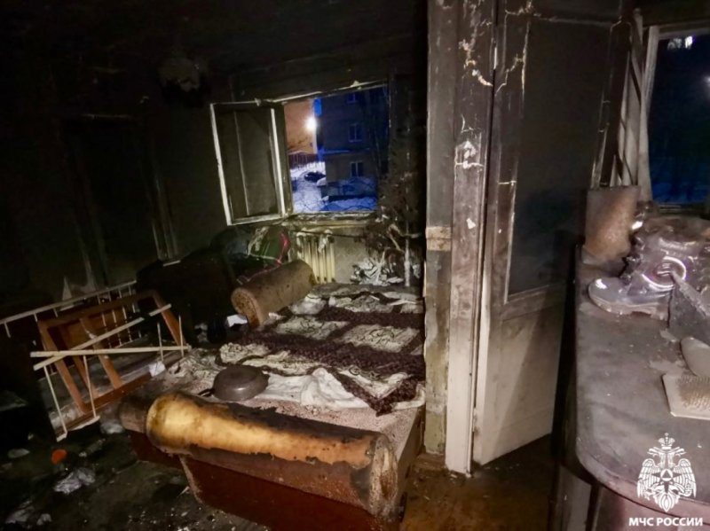 Погибли домашние питомцы, спасли ребенка из горящей квартиры в Мурманске