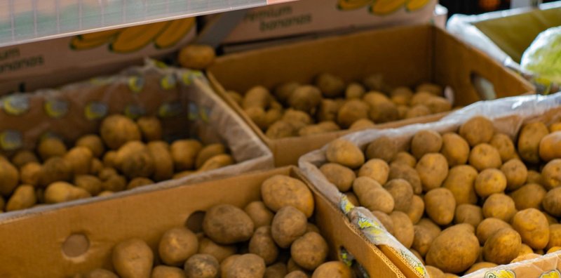 380 тонн овощей доставлено из Беларуси в Мурманскую область