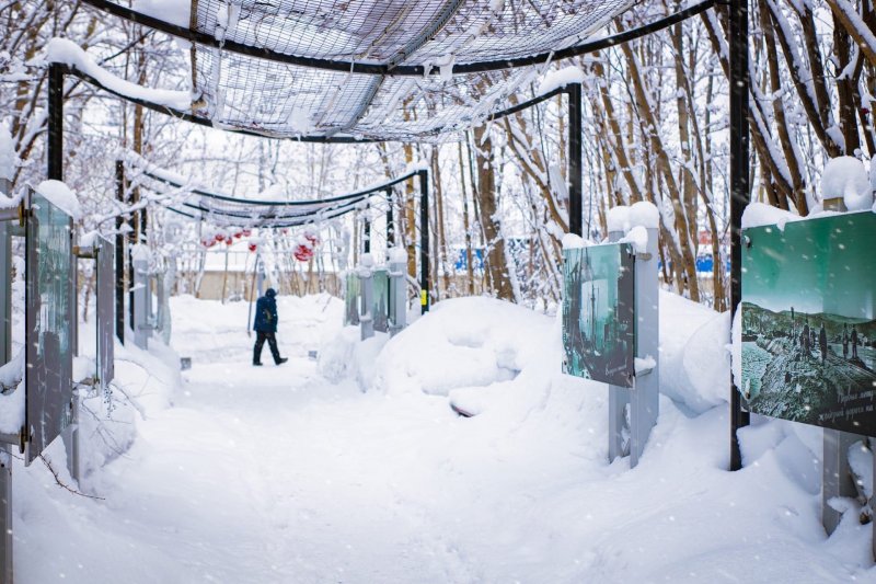 До -20° опустится температура в Мурманской области