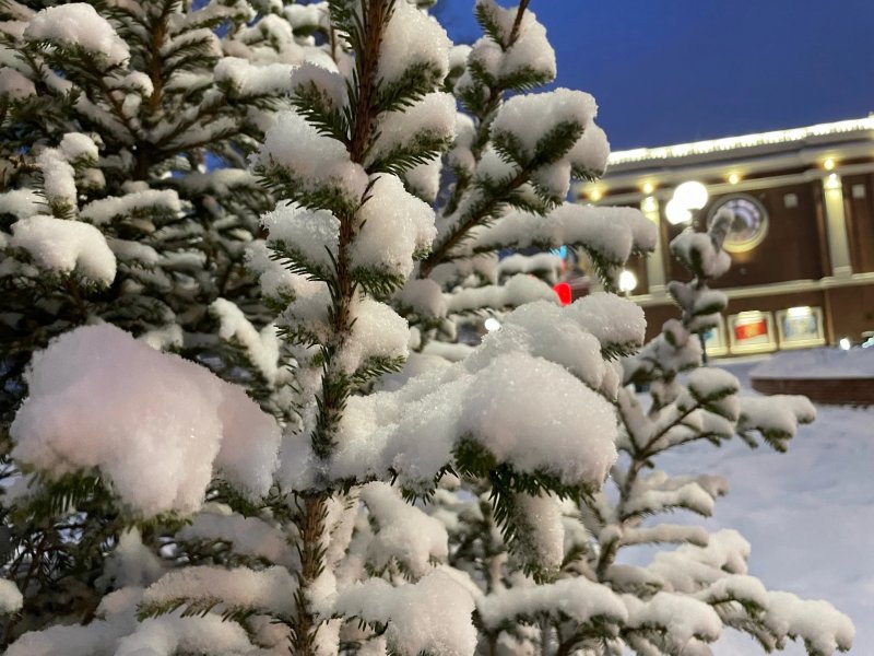 Снежное ненастье продлится до вечера пятницы в Мурманской области