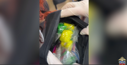 60 свертков с наркотиками нашли у жительницы Мончегорска