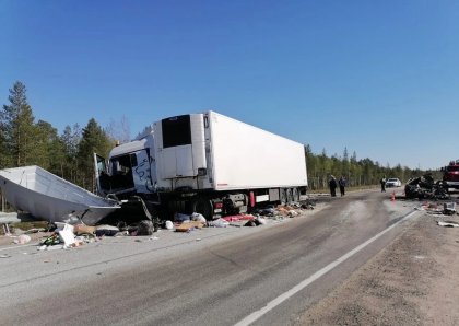 Сгорели ребенок и двое взрослых в машине с мурманскими номерами