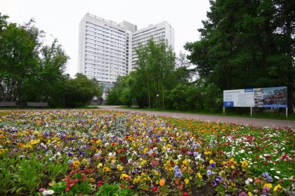 Более ста тысяч цветов высадят в Мурманске