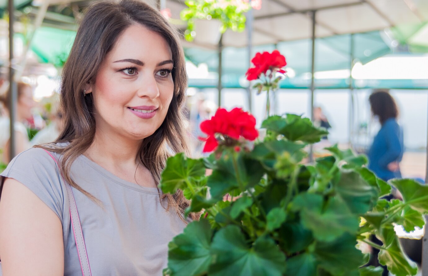 <p><img src="https://novosti-murmanskoy-oblasti.ru/uploads/posts/2025-02/1740152324_young-woman-holding-geranium-clay-pot-garden-center-gardening-planting-woman-with-geranium-flowers_1391-657.jpg" alt="" /></p>

<p><em>Развитие черенков зависит от освещения</em></p>

<p>Автор блога &laquo;Сад Фрейи&raquo; считает, что февраль &mdash; лучшее время для обрезки пеларгоний. Их у нее несколько сортов. Так, сорт ИВ-Юсфирь цветовод обрезает, оставляя 3-4 междоузлия.</p>
<p><br />Многие не обрезают пеларгонию, желая поскорее видеть цветение. Если нужны черенки, то не затягивайте с обрезкой. Чем раньше укоренится &mdash; тем раньше будет цветение.</p>

<p>Темпы обрастания (и начало цветения) зависят от длины светового дня и освещения. Если обрезать вытянутую пеларгонию в середине зимы, то новые побеги тоже будут вытянутыми, солнца-то мало.</p>
<p><br />У автора был случай, когда она обрезала пеларгонию в марте. В итоге она сравнялась с подстриженными в феврале, потому что время роста новых побегов пришлось на более светлое время.</p>
<p><br />Не стоит забывать, что даже разные виды сорта пеларгоний обрастают с разной скоростью. Карликовые малыши дружно выдадут бутоны уже через пару месяцев, тогда как массивным розебудкам иногда требуется несколько месяцев, а плющелистной пеларгонии надо успеть сформировать каскад спадающих побегов еще в середине января.</p>

<p>Ранее мы <a href="https://novosti-murmanskoy-oblasti.ru/47166-pochemu-upelargonii-sohnut-kraya-listev-chto-delat-ivchem-disbalans-shpargalka-cvetovoda.html">рассказывали</a>, почему у пеларгонии сохнут листья. </p>

<p><em>Айгуль Булатова</em></p>
<p><em>Фото: Freepik</em></p>


