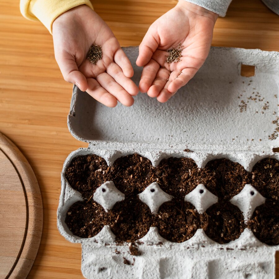 <p><img src="https://novosti-murmanskoy-oblasti.ru/uploads/posts/2025-02/1740588224_top-view-young-kids-holding-dirt-planting-seeds_23-2148831338.jpg" alt="" /></p>

<p><em>Не спешите сеять семена заново</em></p>

<p>Существует много причин, по которым семена не хотят всходить. И садоводы, когда сталкиваются с этим встают перед дилеммой &mdash; подождать пока прорастут или сеять заново?</p>
<p><br />Итак, если по прошествии двух недель семена по-прежнему не желают прорастать, попробуйте их &laquo;разбудить&raquo;. Это можно сделать несколькими способами.</p>
<p><br />Первый &mdash; полейте семена раствором теплой воды и молотого красного перца. Второй способ предполагает использование йода &mdash; в стакане теплой воды разведите несколько капель данного вещества и полейте ваши посадки.</p>
<p><br />Попробуйте &laquo;разбудить&raquo; семена при помощи углекислого газа. Емкость с посадками поместите в полиэтиленовый пакет, и хорошеньки туда подышите.</p>
<p><br />Используйте такие стимуляторы, как янтарная кислота и специализированные стимуляторы роста. </p>

<p>Ранее мы <a href="https://novosti-murmanskoy-oblasti.ru/49489-zamachivanie-semyan-tomatov-2-sposoba-zdorovaya-rassada-garantirovana.html">рассказывали</a>, какие манипуляции необходимо проводить с семенами томатов перед их посевом. </p>

<p><em>Айгуль Булатова</em></p>
<p><em>Фото: Freepik</em></p>

