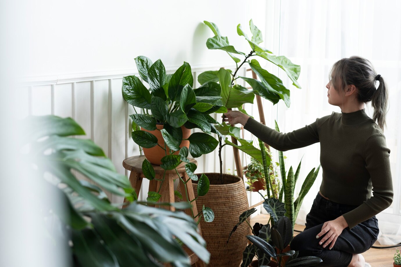 <p><img src="https://novosti-murmanskoy-oblasti.ru/uploads/posts/2025-02/1740732701_woman-tending-caring-her-plant_53876-127243.jpg" alt="" /></p>

<p><em>Перекись водорода используют для поддержки комнатных растений зимой</em></p>

<p>Как помочь комнатным растениям в зимний период? Об одном из эффективных средств рассказали на канале &laquo;Дачные советы&raquo;. Автор блога поддерживает свои цветы простым аптечным средовом &mdash; перекисью водорода.</p>
<p><br />Есть два способа использования этого средства &mdash; опрыскивание и корневая подкормка. Для приготовления средства используют отстоянную в течение нескольких дней воду и 3% перекись.</p>
<p><br />В литре воды смешивают 4 столовые ложки средства. Этим раствором можно опрыскивать растения каждый день, а поливать &mdash; раз в неделю. И уже через неделю вы увидите первые результаты &mdash; комнатные растения напитаются сил и будут выглядеть более здоровыми.</p>
<p><br />Способ хороший и действенный, но только не для больных растений. Раствор помогает предотвратить болезни, а не избавиться от них. Если цветы заболели, то потребуется применение более серьезных препаратов.</p>

<p>Ранее мы <a href="https://novosti-murmanskoy-oblasti.ru/49758-odna-tabletka-nalitr-vody-etot-medicinskiy-preparat-dast-tolchok-dekabristu-onnachnet-cvesti.html">рассказывали</a>, какие аптечные средства помогут декабристу пышно цвести.</p>

<p><em>Айгуль Булатова</em></p>
<p><em>Фото: Freepik</em></p>

