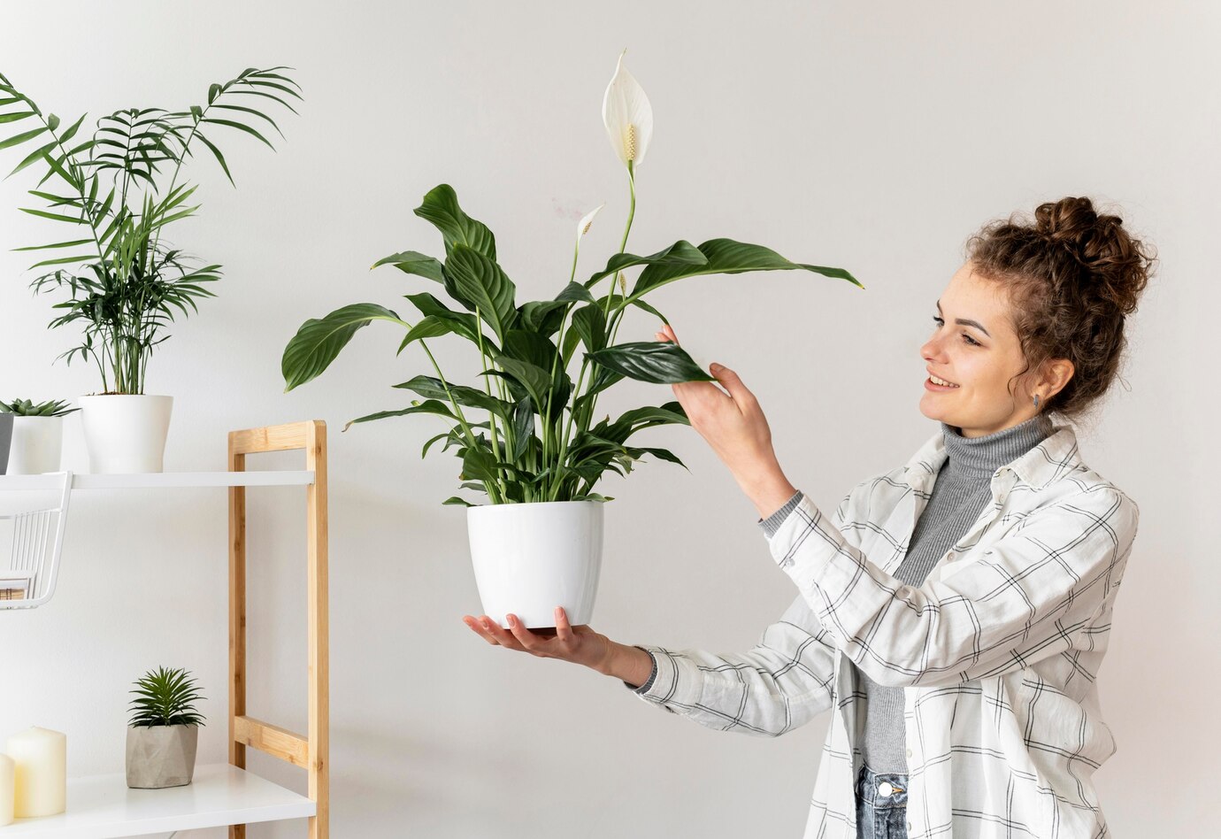 <p><img src="https://novosti-murmanskoy-oblasti.ru/uploads/posts/2025-03/1741802510_medium-shot-woman-holding-plant_23-2148903513.jpg" alt="" /></p>

<p><em>Сухие кончики на листьях появляются при недостатке питания</em></p>

<p>На канале &laquo;Антон цветочник&raquo; рассказали о причинах, которые приводят к пожелтению кончиков листьев у спатифиллума. По словам цветовода, если у растения лист желтеет неравномерно и быстро, но при этом не теряет тургор, значит, дело в дефиците питания.</p>

<p>И поэтому верным будет решение о пересадке цветка. Если есть подозрение на гниение корней, лучше провести обработку фунгицидами.</p>
<p><br />Вообще спатифиллумы &mdash; растения, которые любят много воды. Они довольно выносливы, поэтому терпят недолгую засуху, но без нее спатифиллумы чувствуют себя гораздо лучше. Поэтому автор блога решил поэкспериментировать и соорудить конструкцию с фитильным поливом.</p>
<p><br />Вся его идея в том, что в горшке с грунтом есть часть синтетического шнурка. Другая часть этого синтетического шнурка находится в кашпо под этим горшком, притом постоянно в воде. За счёт этого часть грунта в горшке находится всегда в слегка влажном состоянии, и корневая система благополучно эту влагу использует.</p>
<p><br />Стоит отметить, что фитильный полив сработает только в том случае, если корни спатифиллума здоровые и горшок для них в самую пору.</p>

<p>Ранее мы <a href="https://novosti-murmanskoy-oblasti.ru/45029-cvetuschee-zhenskoe-schaste-kak-uhazhivat-zaspatifillumom-chtoby-onradoval-cvetami-ves-god-shpargalka-dlya-lyubiteley-komnatnyh-rasteniy.html">рассказывали,</a> как ухаживать за спатифиллумом, чтобы он радовал весь год цветами.</p>

<p><em>Айгуль Булатова</em></p>
<p><em>Фото: Freepik</em></p>

