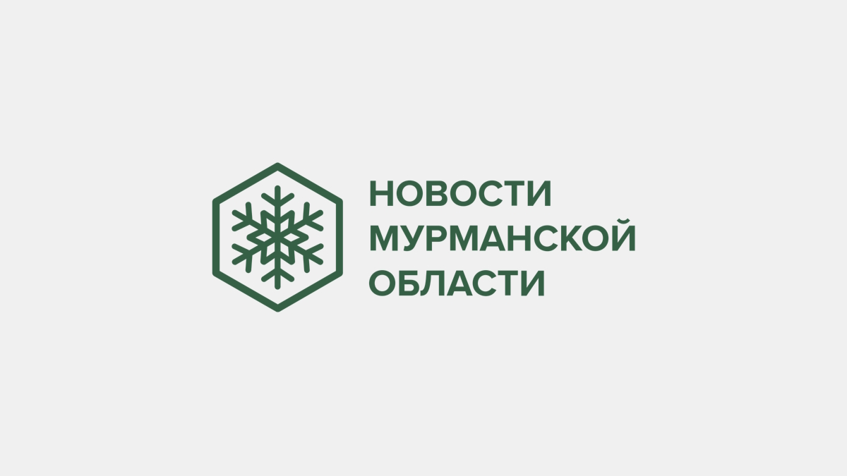 Имя бразильского стриптизера дали школе Мурманска