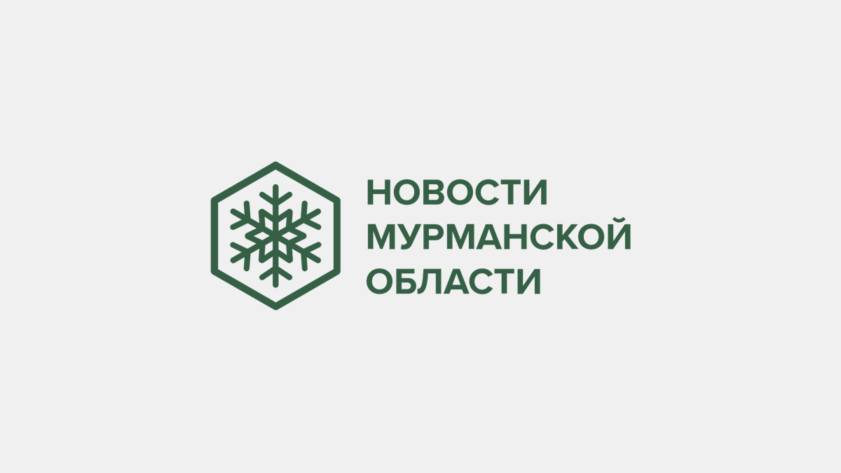 Электронные дневники появятся во всех школах Мурманской области