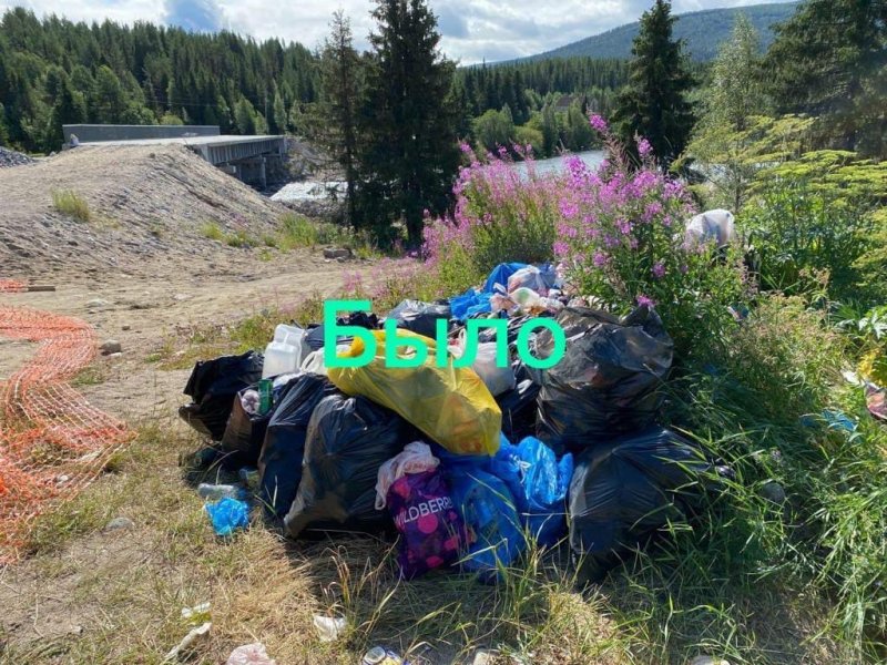 Устроили свалку мусора рыбаки в Колвице