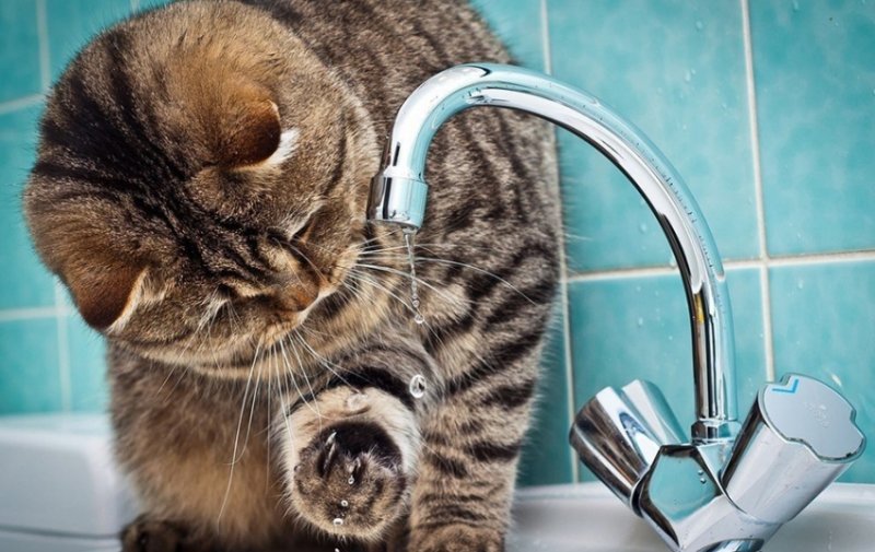 Без горячей воды на сутки останется весь Кировск