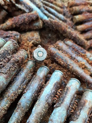 1,5 тысячи патронов нашли на берегу Баренцева моря