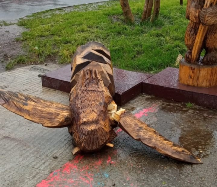 Ветер поломал крылья сове в Кировске