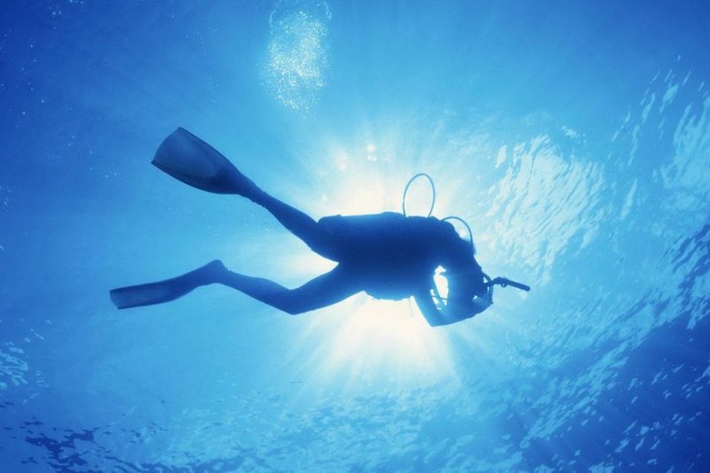 Нашли тело пропавшего дайвера в Умбе