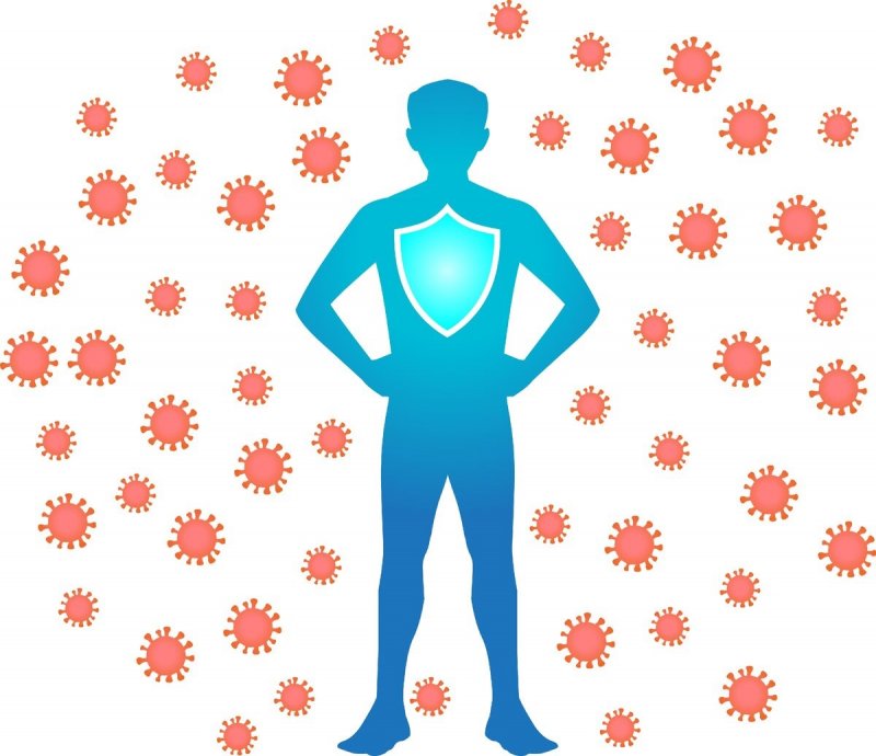 Снова проверят иммунитет жителей Мурманской области к COVID-19