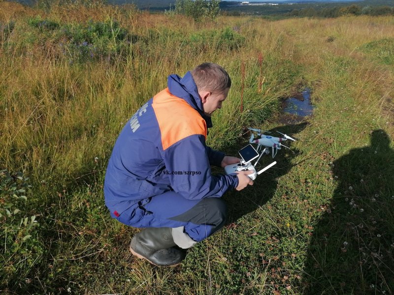 С помощью беспилотника ищут 84-летнюю северянку в лесу Североморска