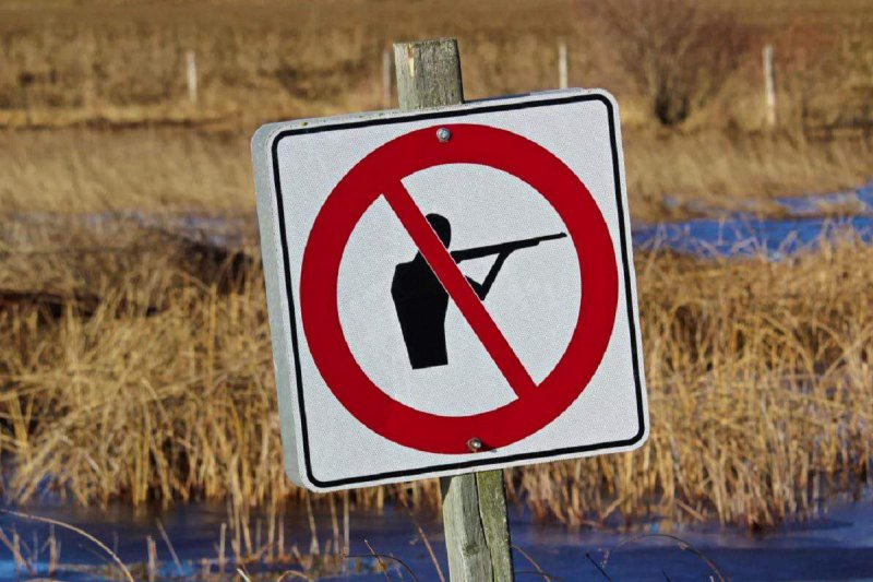 Запретили охоту в Оленегорском районе