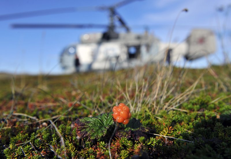 Переданы бюллетени для досрочного голосования в "удалёнку" Мурманской области