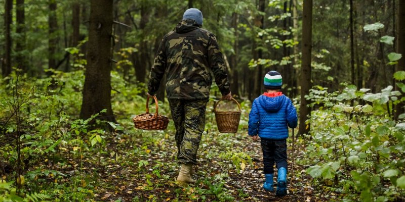 Северянка с сыном потерялась в лесу под Североморском