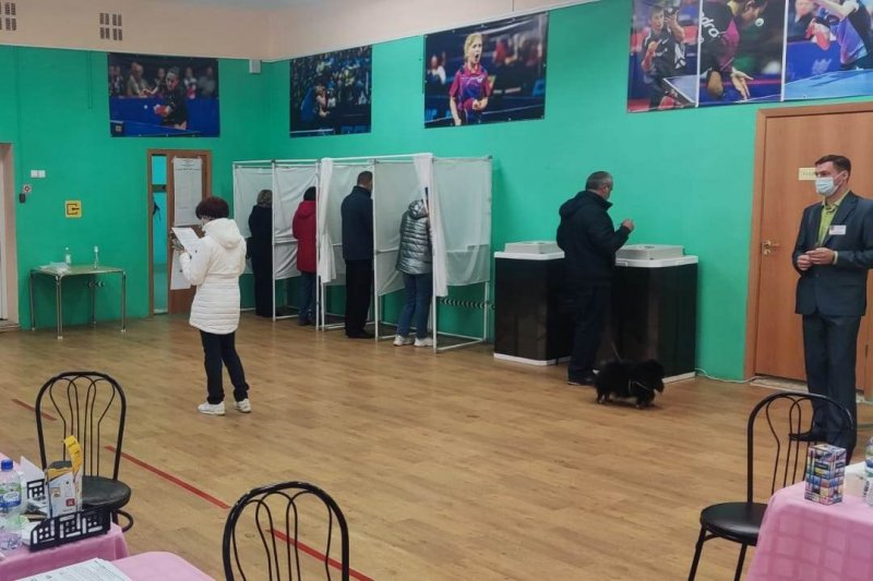 42% - явка избирателей на выборах в Мурманской области