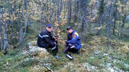 Подвернул ногу и потерялся в лесу мужчина в Кольском районе