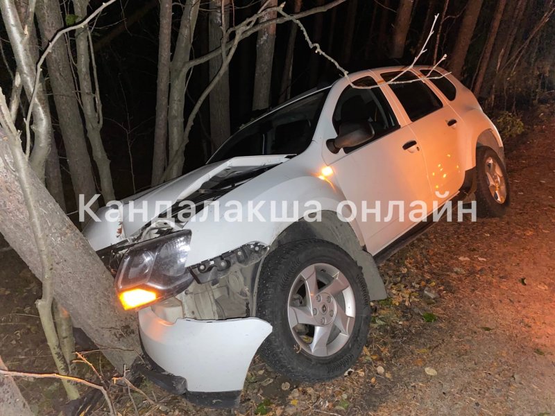Протаранил дерево кроссовер в Кандалакше