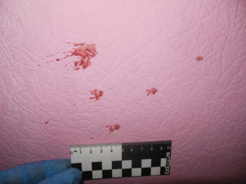 12 лет проведут в колонии двое жителей Североморска