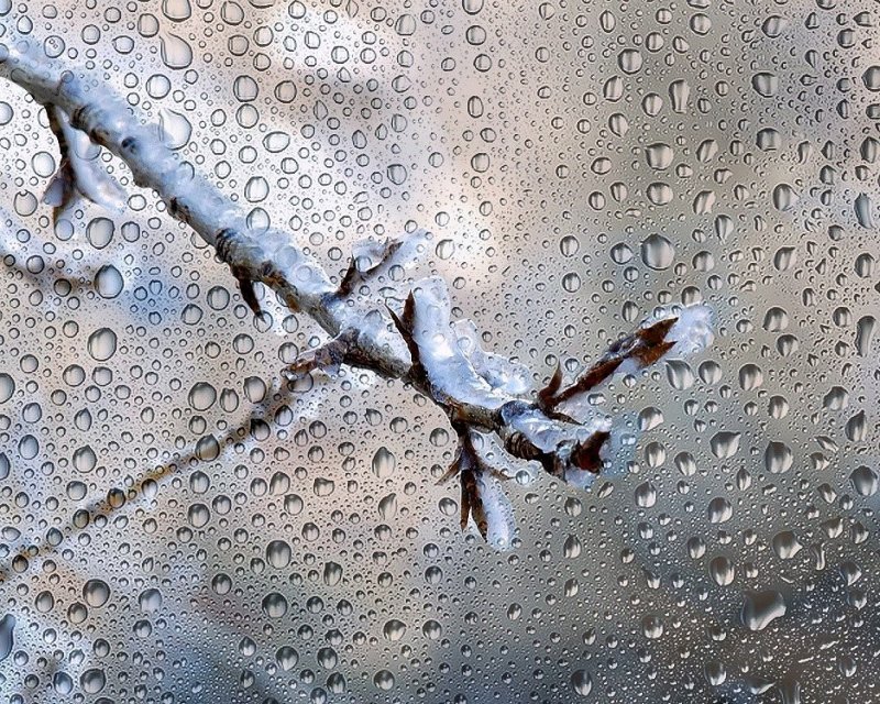 Циклон Калли принесёт ледяной дождь в Мурманскую область