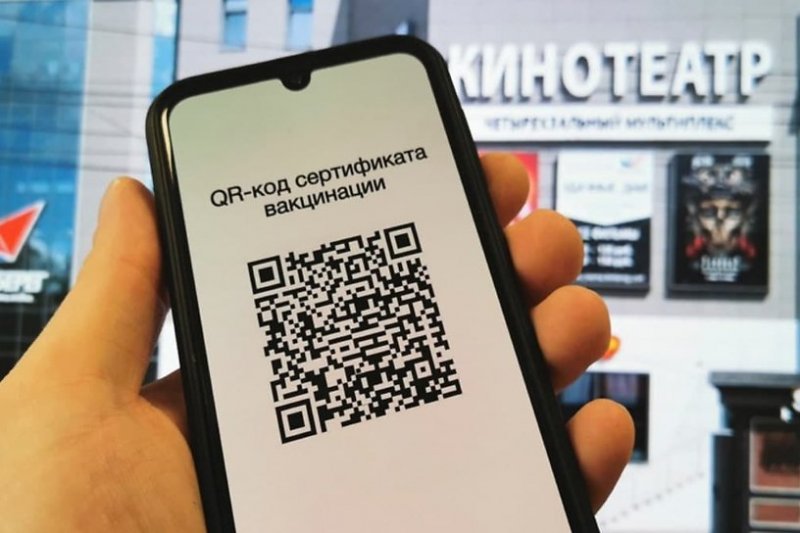 О QR-кодах стопкоронавирус.рф расскажет жителям Мурманской области