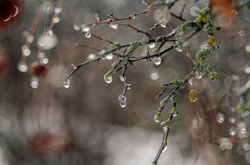 В Мурманске потеплеет до +5°