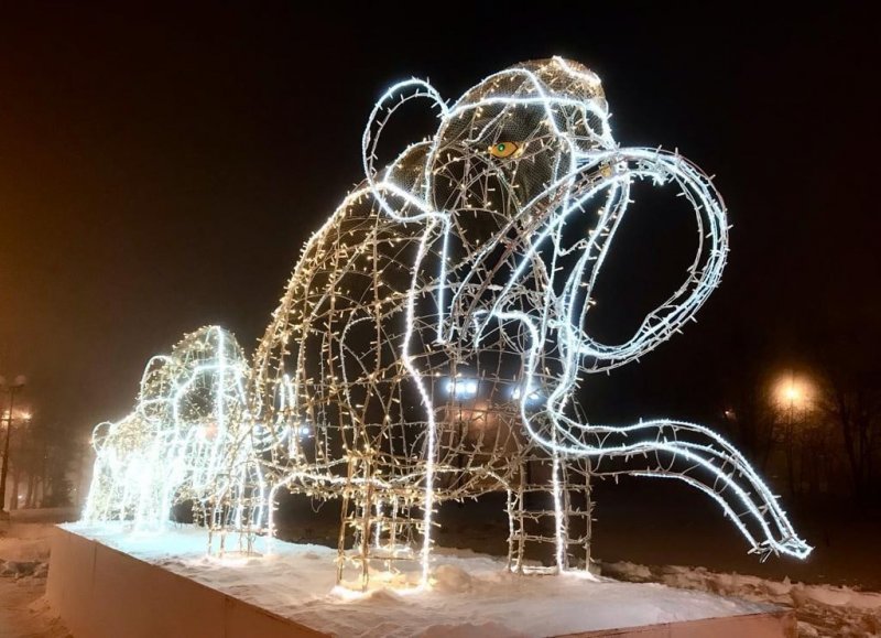 Мамонты вернулись в Кировск