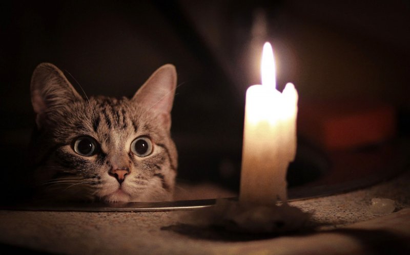 Без света останутся дома на правом берегу Териберки