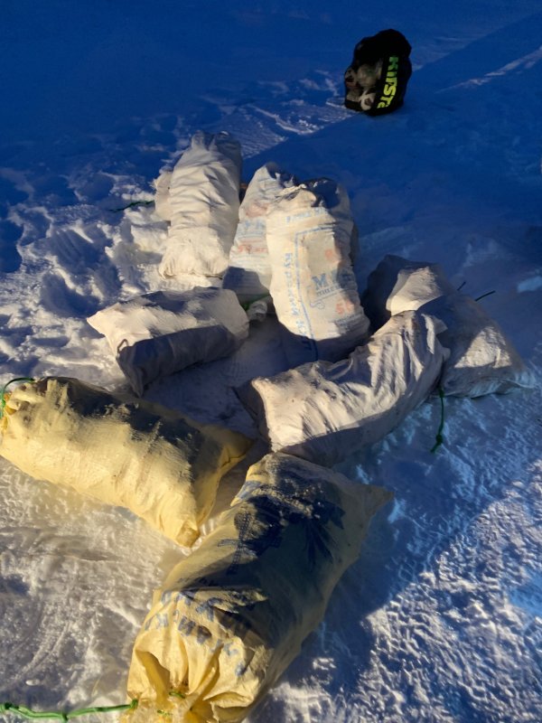 Браконьеров поймали на берегу Кольского залива