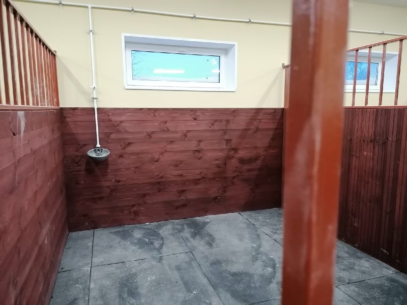 Почти готова к открытию конюшня в Кировске