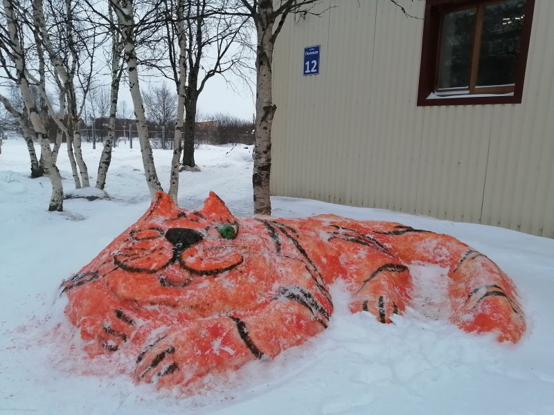 Тигр "навестил" синоптиков в Ловозере