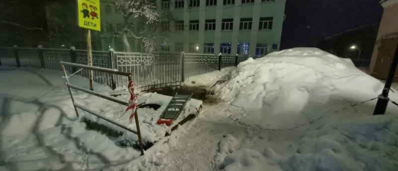 Соцсети: погибла в кипятке собака в Заозерске