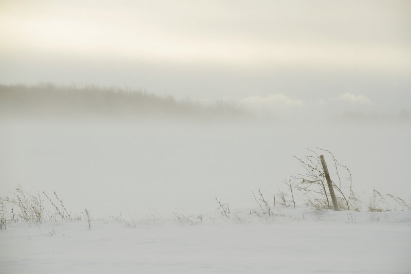 Порывистый ветер сохранится в Мурманске до четверга