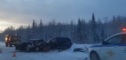 Погиб пассажир иномарки в аварии под Оленегорском