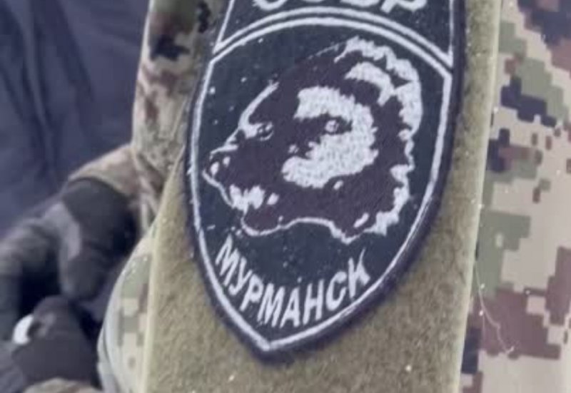 Видеообращение к олимпийцам записали росгвардейцы из Мурманской области (видео)