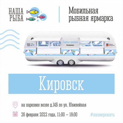 Впервые "Нашу рыбу" встретит Кировск