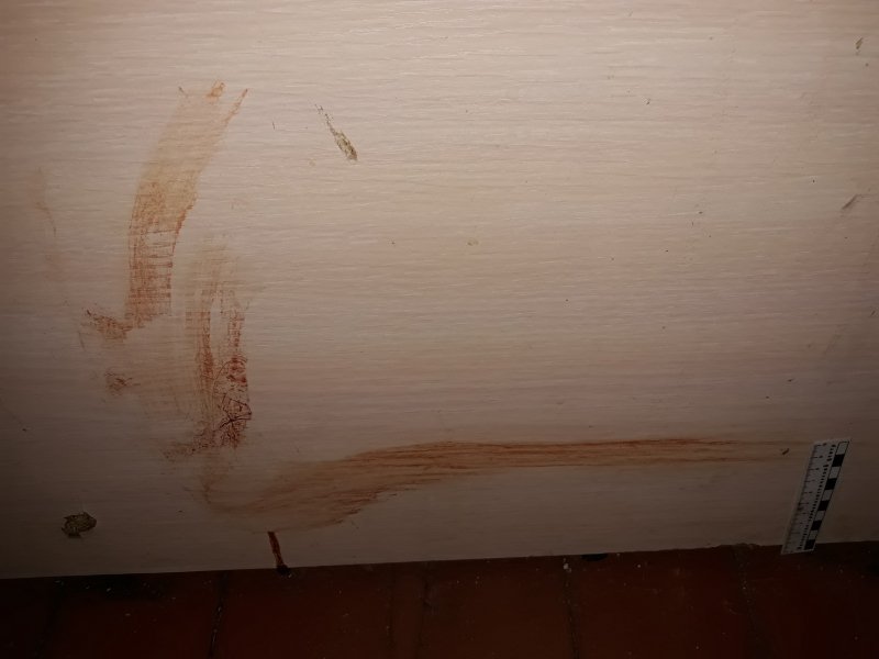 Убийца хозяйки квартиры из Кандалакши сядет в тюрьму на 12 с половиной лет