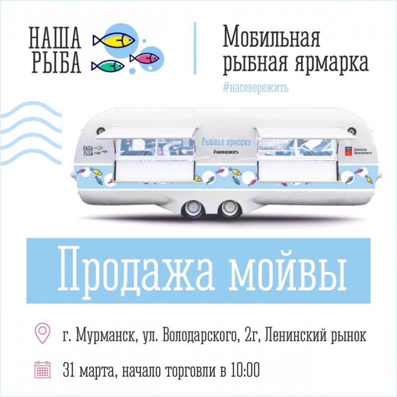 Мойву снова будут продавать на Ленинском рынке в Мурманске
