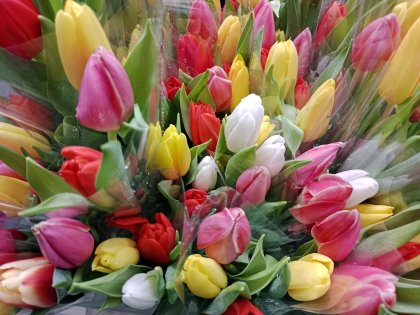 Женщина-портовик - звучит гордо!