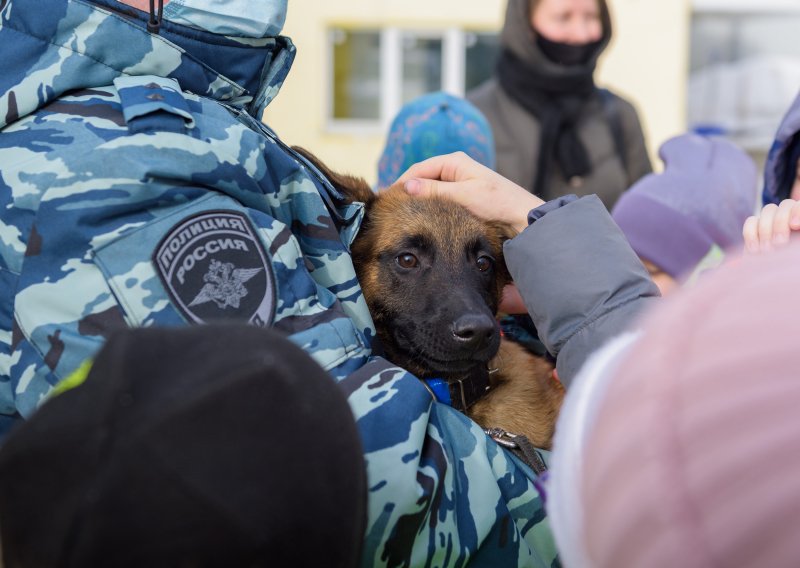 Очаровал детей щенок кинологической службы полиции в Мурманске