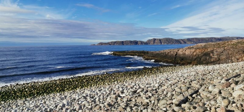 Рыбаки-фрилансеры оккупировали Териберку