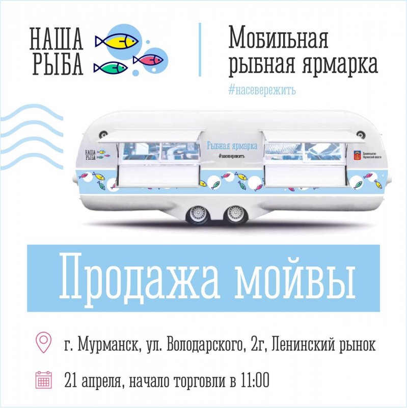 Мойву по 130 рублей за килограмм снова начнут продавать в Мурманске