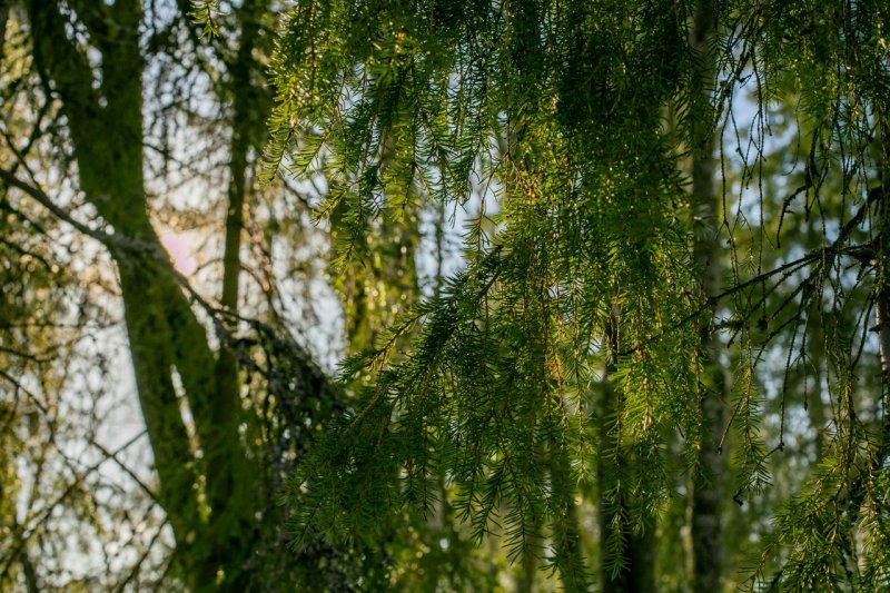 Просветительскую работу с гидами ведут в Мурманской области