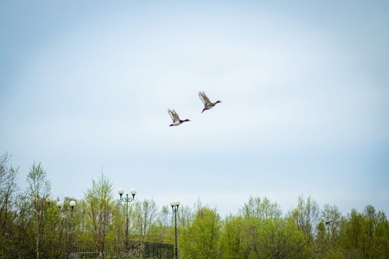 Серьезное похолодание движется на Мурманск