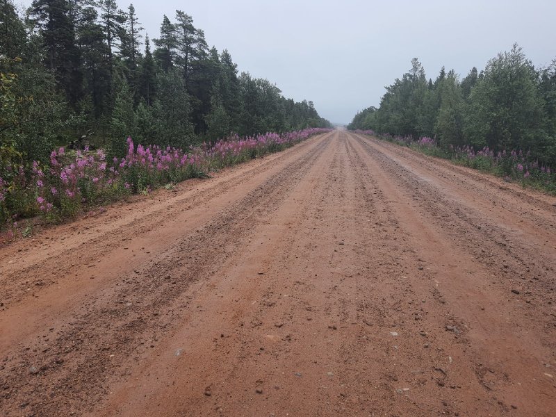 Продолжат асфальтирвать дорогу «Умба – Варзуга»