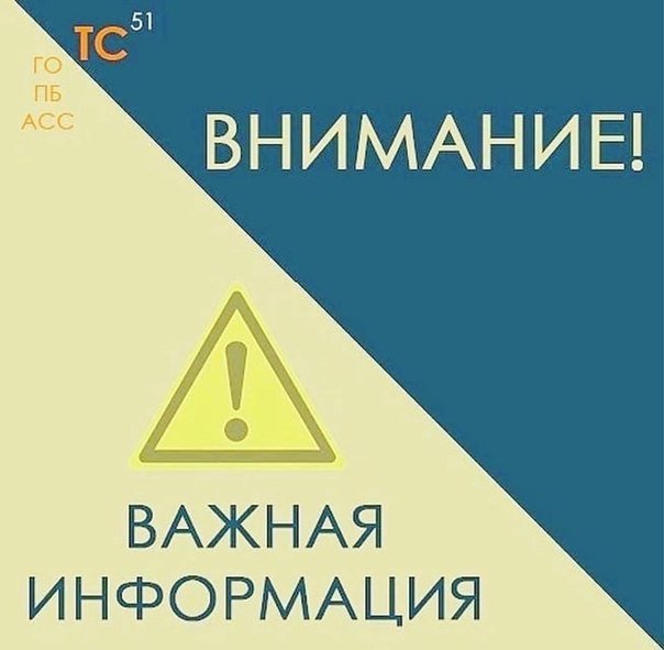 Из-за жары ограничили пребывание в лесах Мурманской области